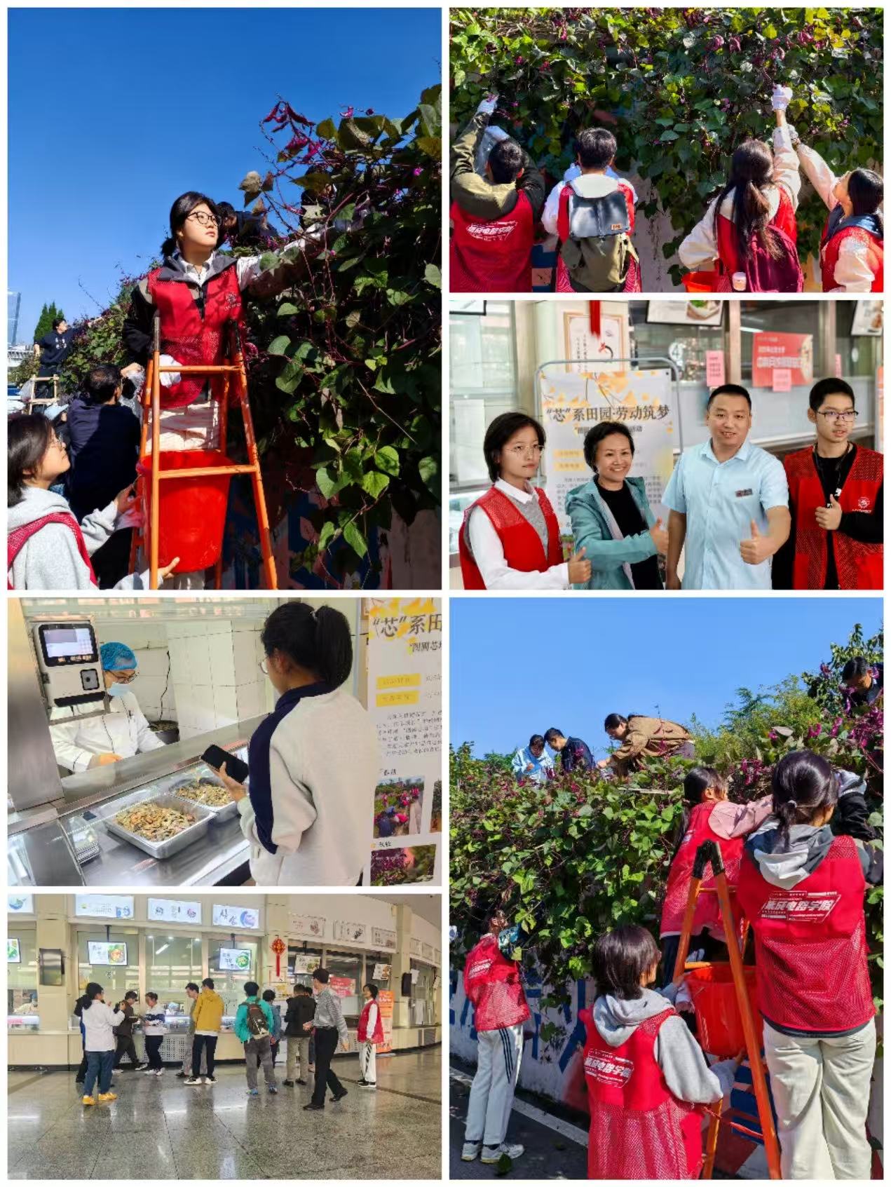 1761534418246038123.jpg 微信图片_20251014185105_63_149.jpg