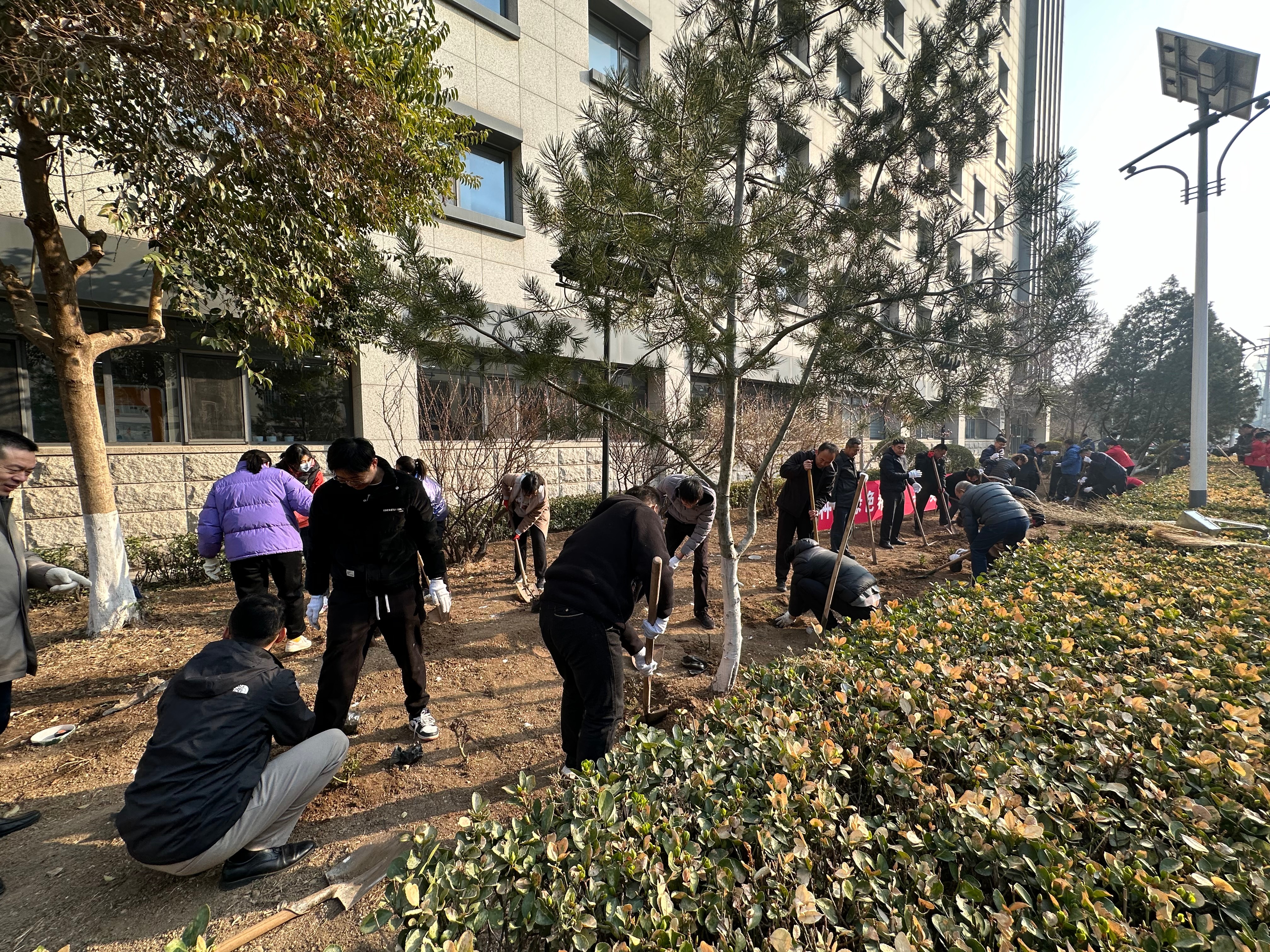 1710296243600042718.jpg 后勤植树节活动-全景2(1).jpg