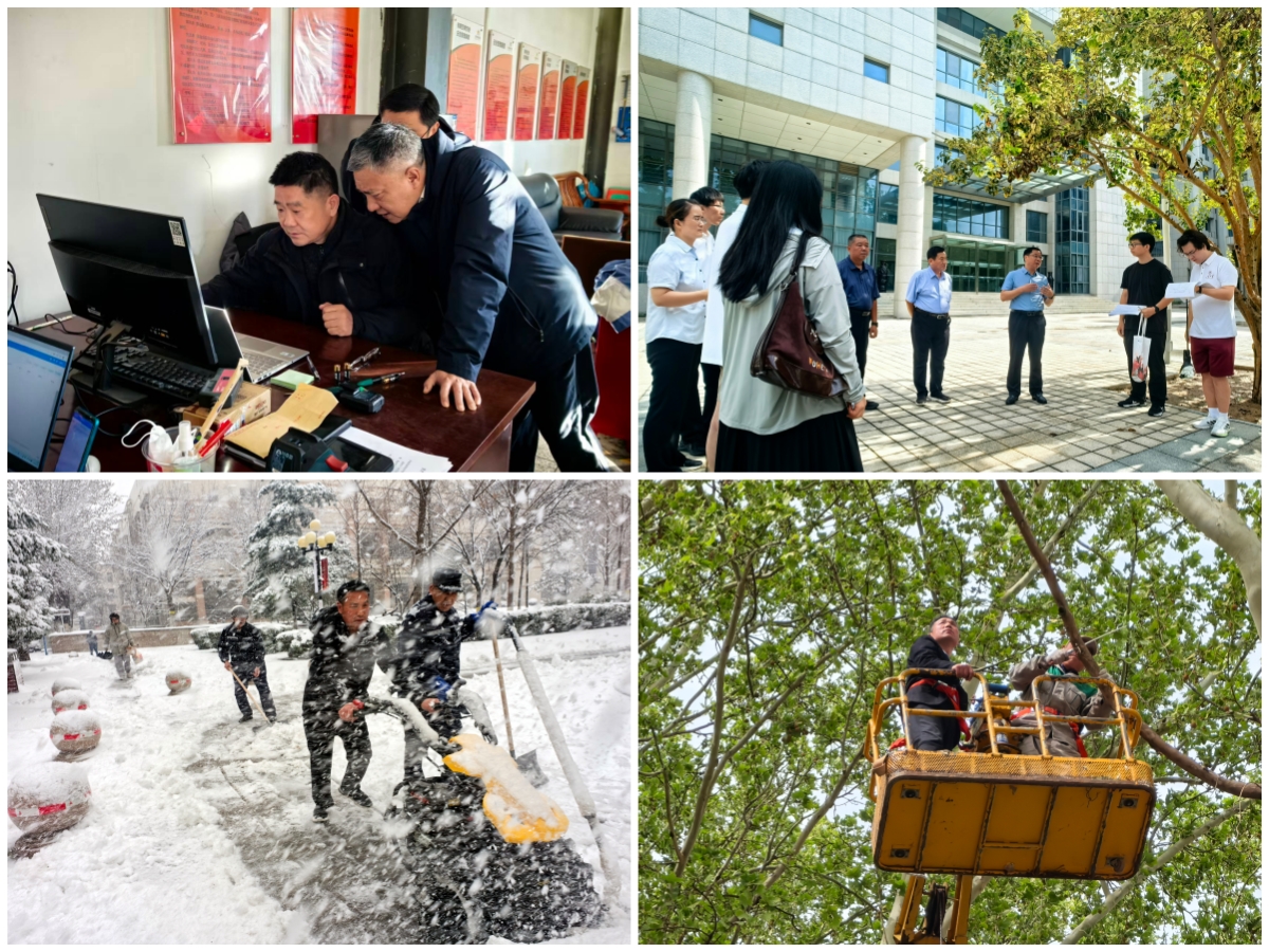 1767012561949077231.jpg 15.jpg