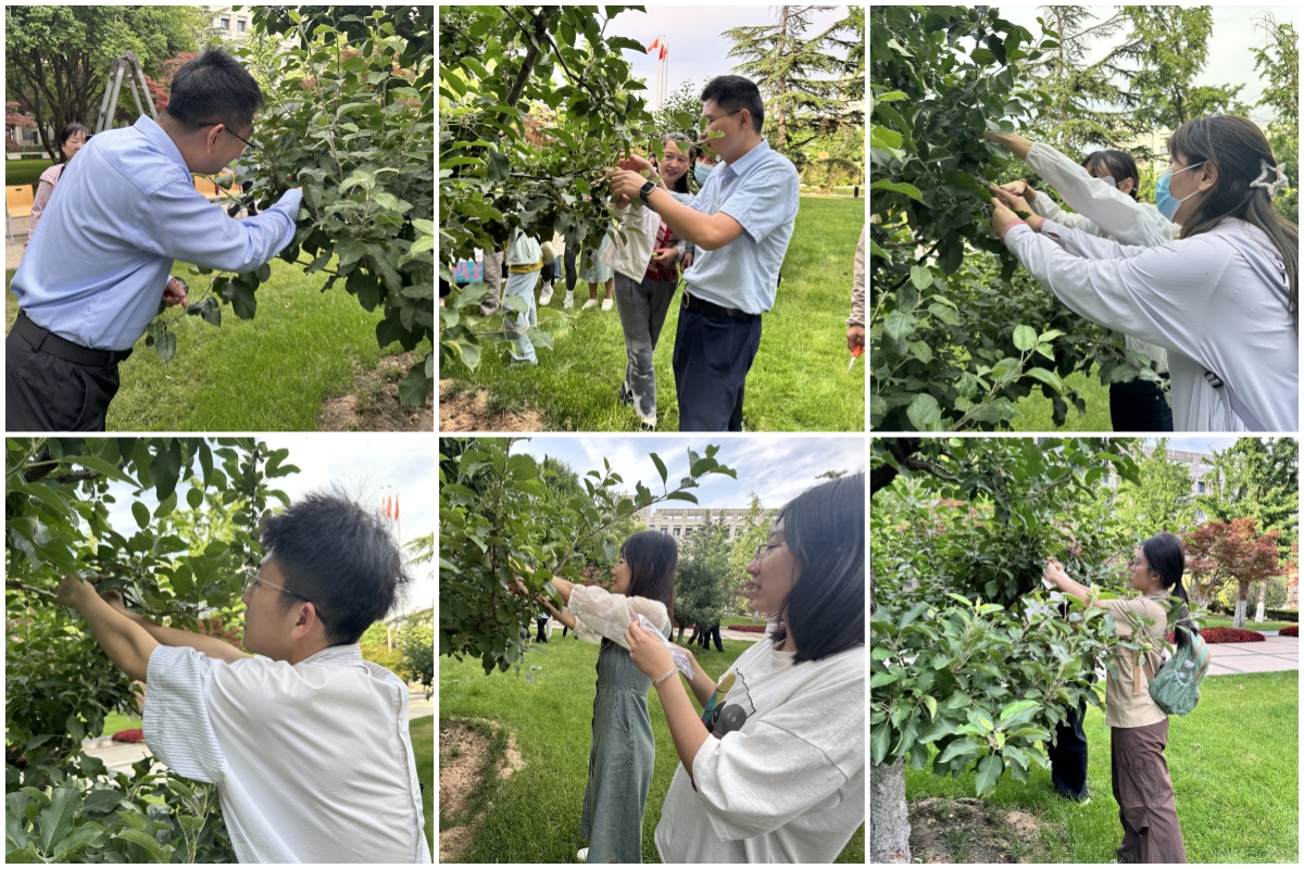 1715929532285030903.jpg 未命名.jpg