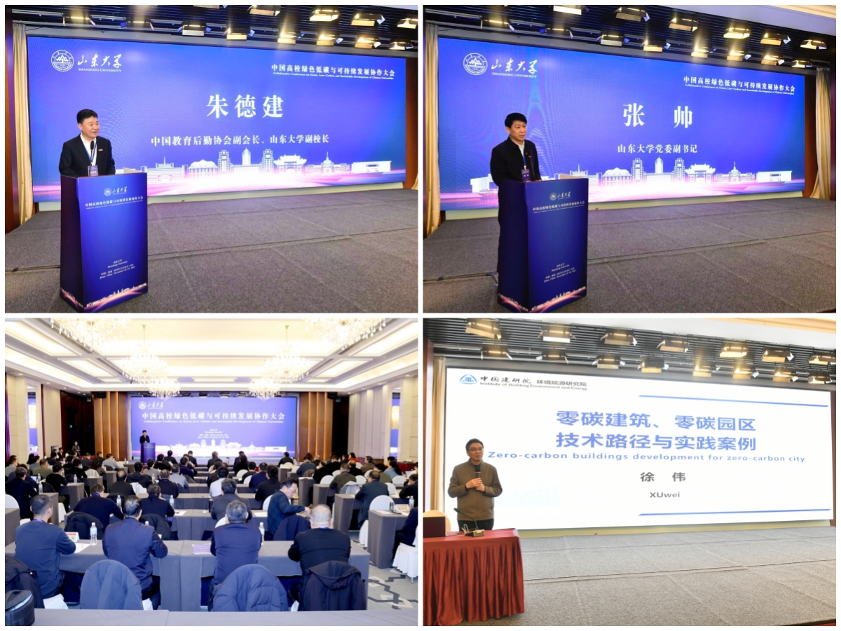 1767011476954088517.jpg 10.jpg